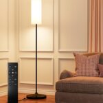 Dimmable LED Floor Lamp with Remote