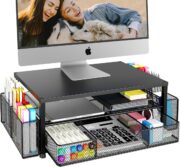 2-Tier Monitor Stand Desk Organizer