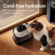 Cordless Stainless Steel Cat Water Fountain - detail 2
